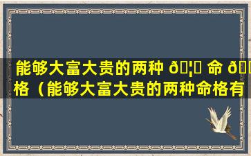 能够大富大贵的两种 🦋 命 🐠 格（能够大富大贵的两种命格有哪些）